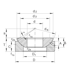 Rolando GE10-AX INA