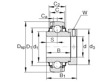 Rolamentos G1100-KRR-B-AS2/V INA