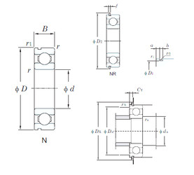 Rolamentos 6205N KOYO