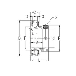 Rolamentos RAE30-NPPB NKE