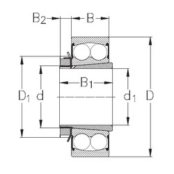 Rolamentos 2209-K-2RS+H309 NKE