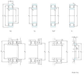 Rolando NU305ECP SKF