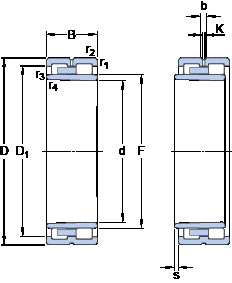 Rolando NNU 4960 BK/SPW33 SKF