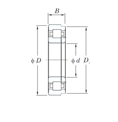 Rolando NUP214R KOYO