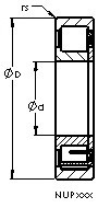 Rolando NUP2304 E AST