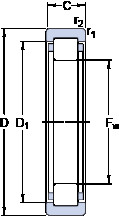 Rolando RNU 1007 ECP SKF