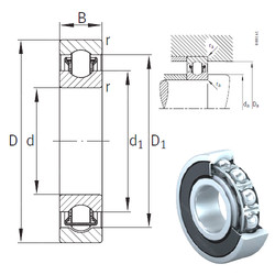 Rolando BXRE001-2RSR INA