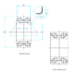 Rolando 510017 Timken