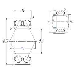 Rolando 5313 NSK