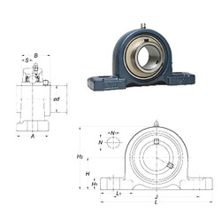 Rolando UCP202 FYH