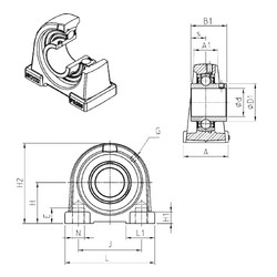 Rolando UCPA210 SNR