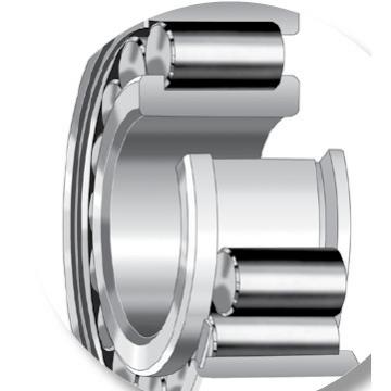 Bearing 220RN51