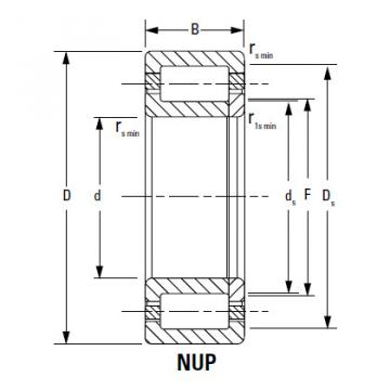 Bearing NJ2220EMA