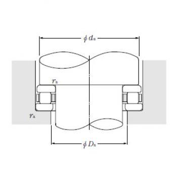 Bearing 29296