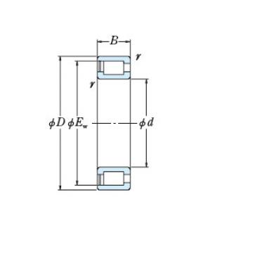 Bearing RS-48/500E4