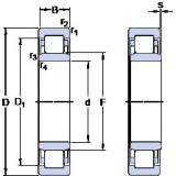 Rolando NU 305 ECML SKF