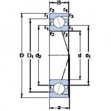 Rolando 7048 CD/HCP4A SKF