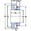 Rolamentos 1310 EKTN9 + H 310 SKF