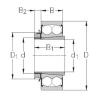 Rolamentos 2209-K-2RS+H309 NKE