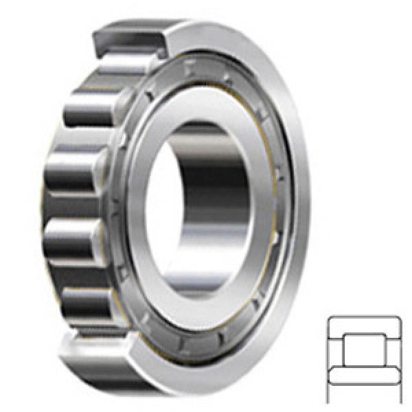 SKF NU 2215 ECJ/C3 Rolamentos de rolos cilíndricos #1 image