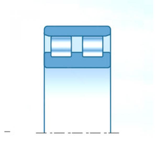 Rolamento NN3032C1NAP5 NTN #1 image