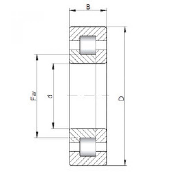 Rolando NUP2312 ISO #1 image