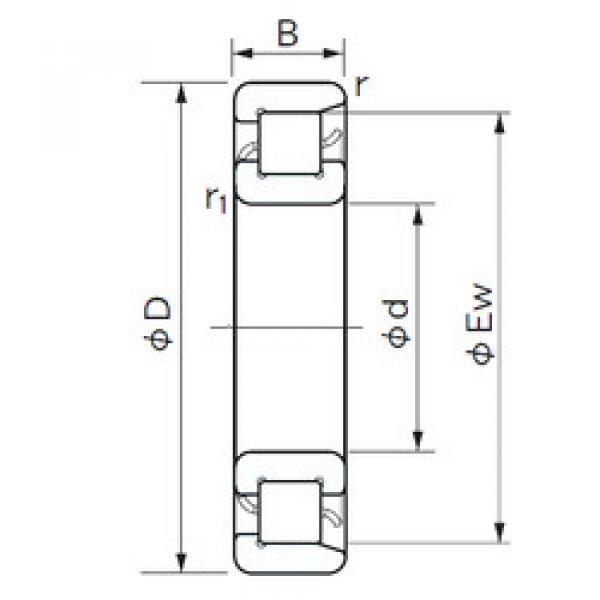 Rolamento NF 252 NACHI #1 image