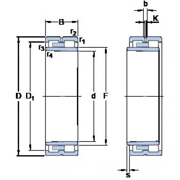 Rolando NNU 4960 BK/SPW33 SKF #1 image