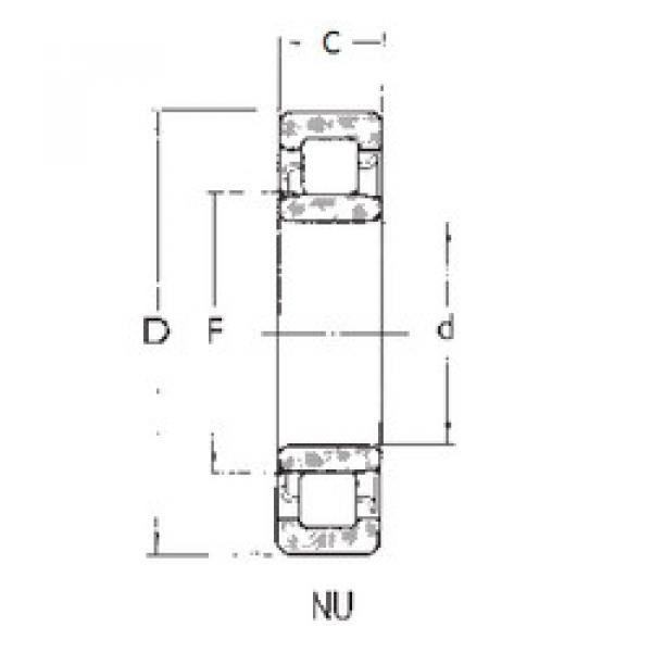 Rolando NU316 FBJ #1 image