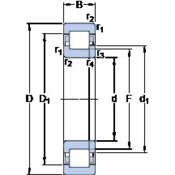 Rolando NUP 2315 ECP SKF #1 image