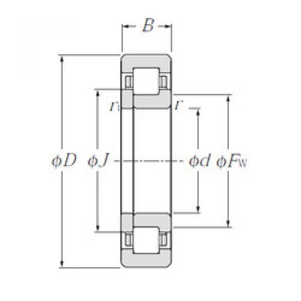 Rolando NUP315E CYSD #1 image