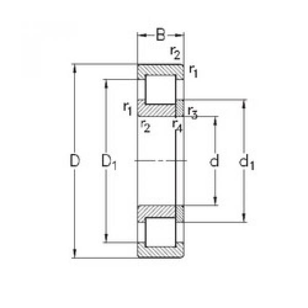 Rolando NUP2218-E-MPA NKE #1 image