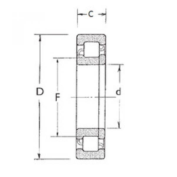 Rolando NUP309 FBJ #1 image