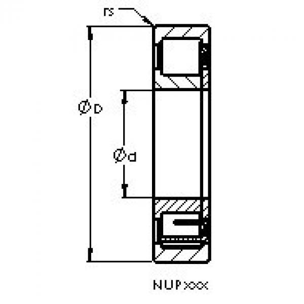 Rolando NUP213 E AST #1 image