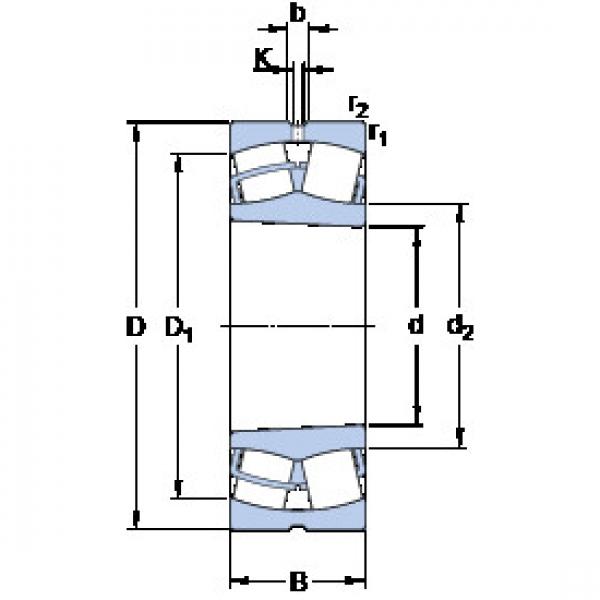 Rolando 22313 EK SKF #1 image