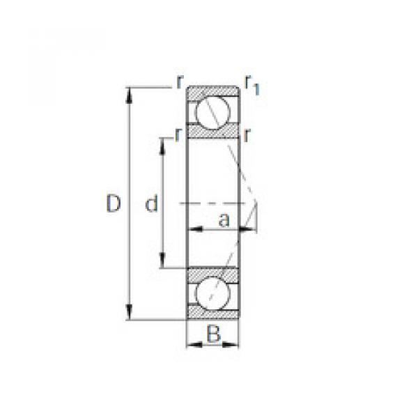 Rolando 7008C CYSD #1 image