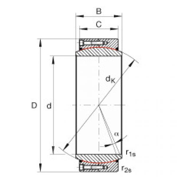 Rolando GE560-DW-2RS2 INA #1 image