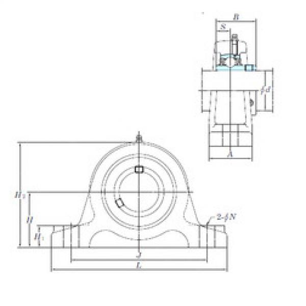 Rolando UCIP314-44 KOYO #1 image